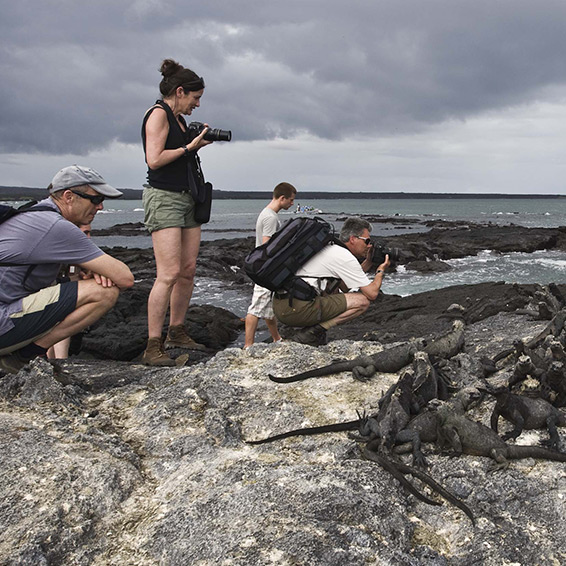 Galapagos Tour Reviews