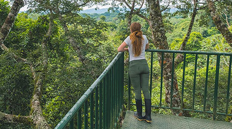 Observation Tower