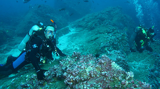 Galapagos Diving