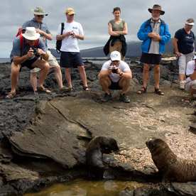 Egas Port - Santiago