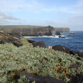Suarez Point - Espanola