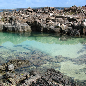 Darwin Bay - Genovesa