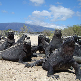 Urbina Bay - Isabela