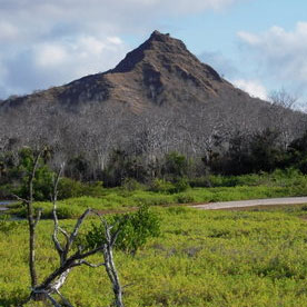 Dragon Hill
