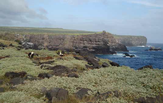 Española Island