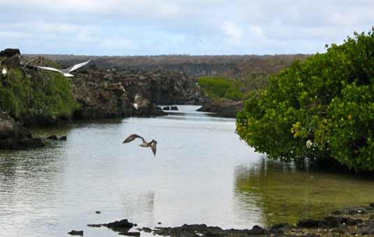 Española Island