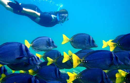 Snorkeling
