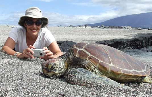 Marine Turtle